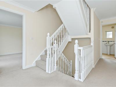 Picture 13
